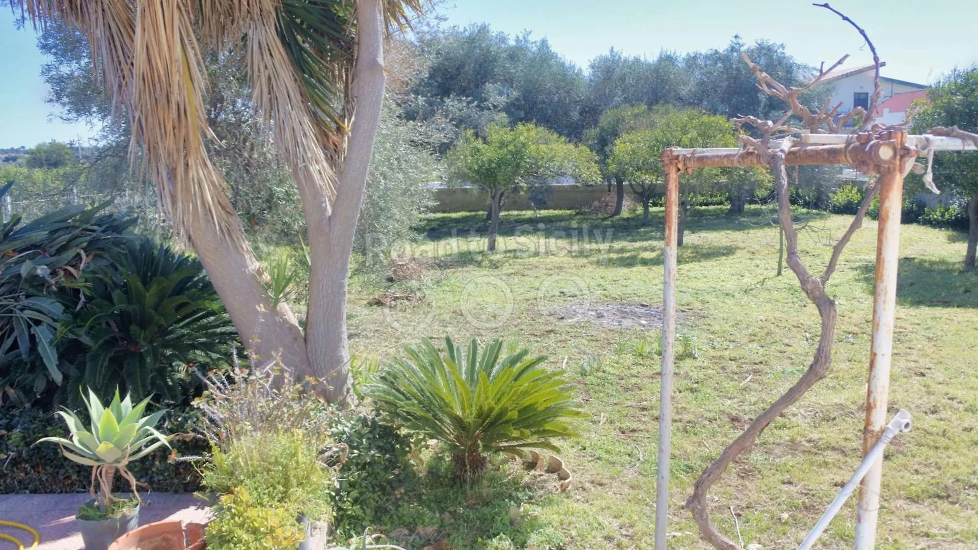 Aleari Villa Fanusa